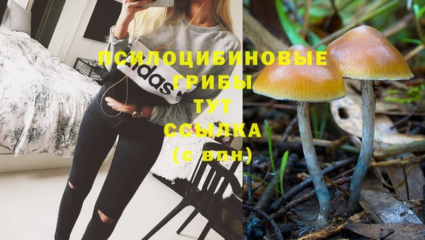 хмурый Богданович