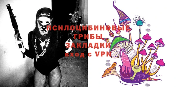 mix Бородино